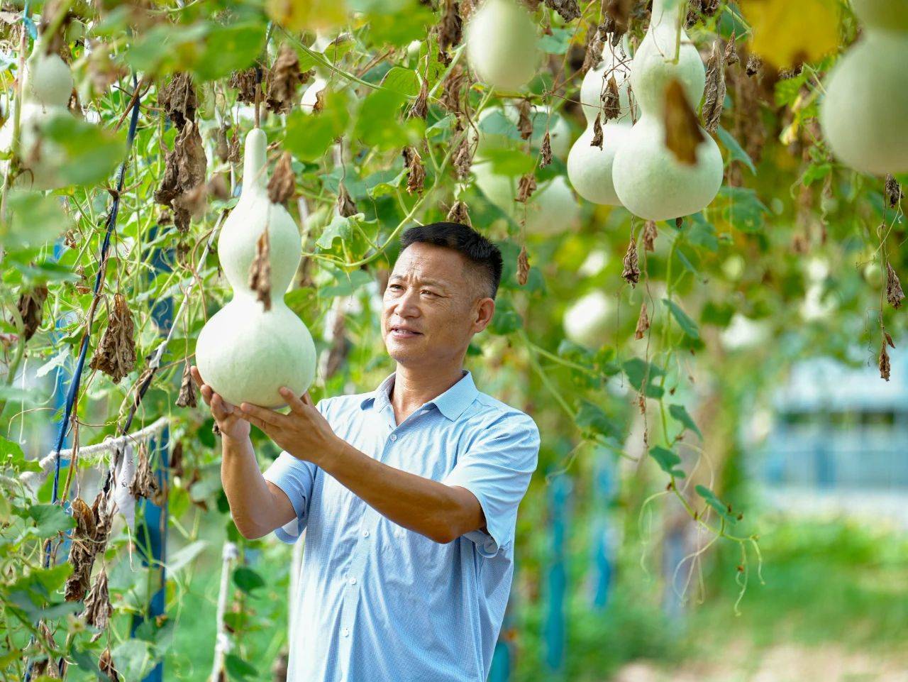 “葫芦爷爷”翟志伟和他的“葫芦娃”