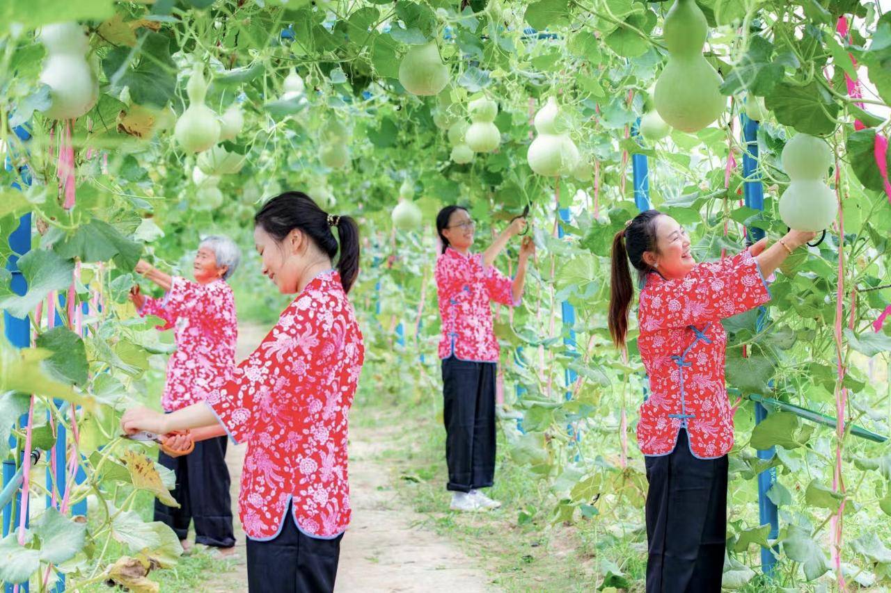 “葫芦爷爷”翟志伟和他的“葫芦娃”