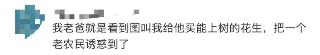 良品铺子道歉