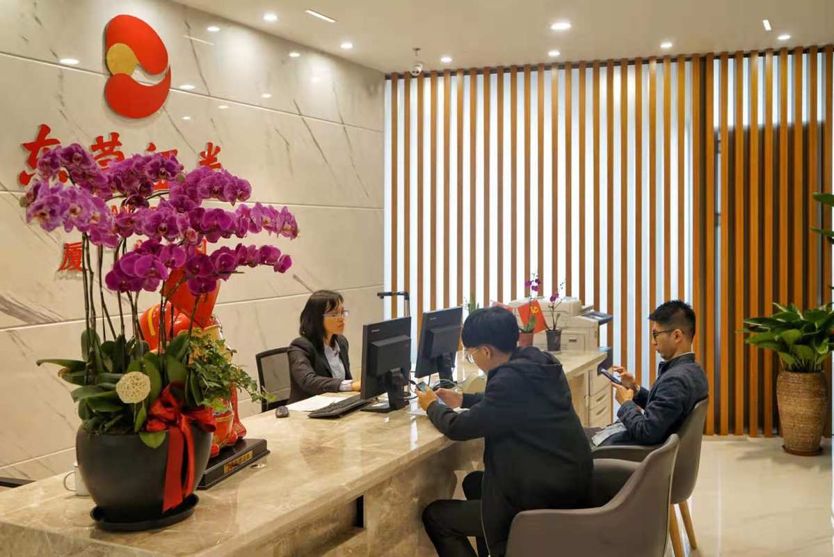 东莞证券官网下载(东莞证券手机app下载安装)